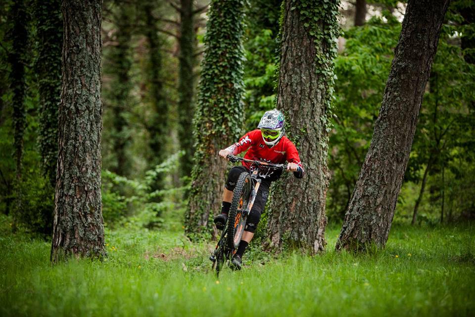 13600209_909692989158706_3891424191202017266_n